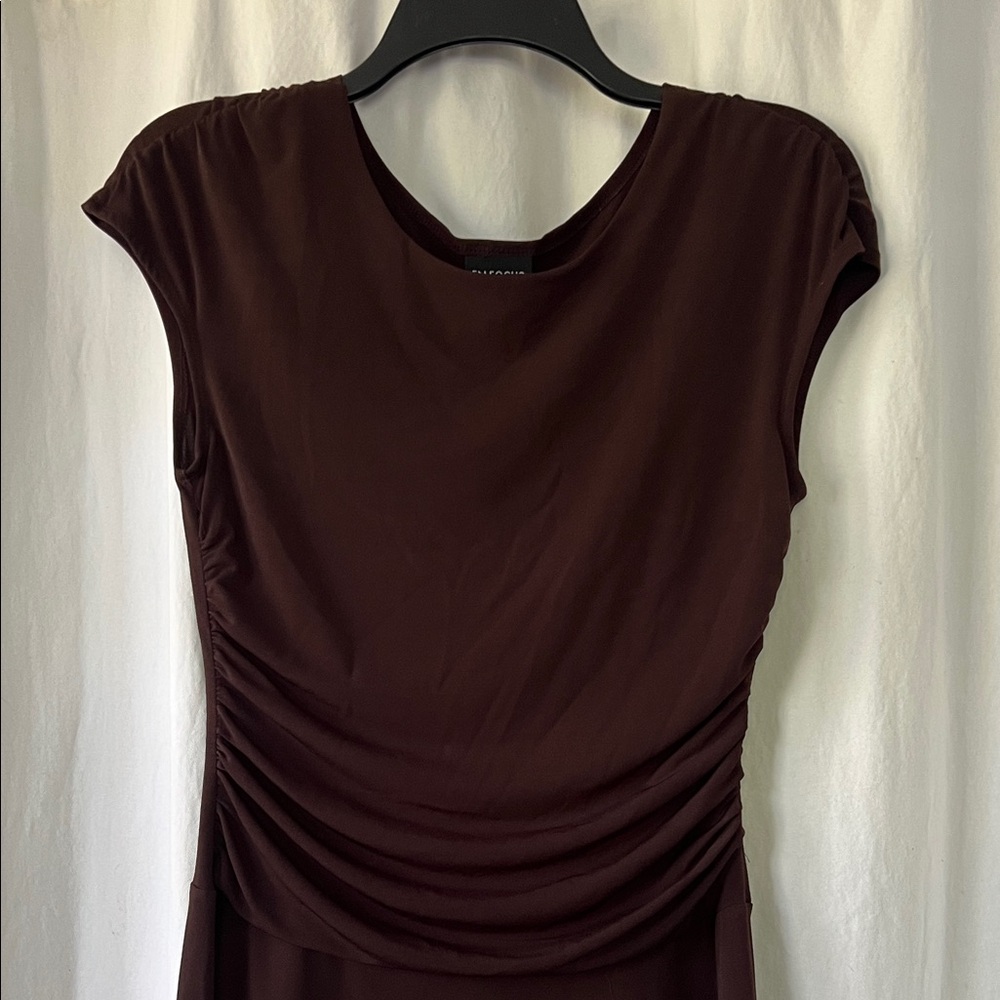 Enfocus Studio Brown Ruched Dress